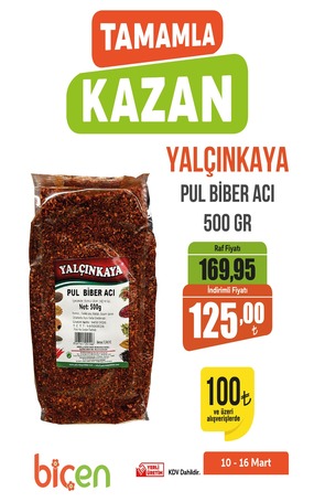 WhatsApp Image 2026-03-11 at 10.