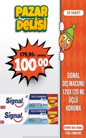 WhatsApp Image 2026-03-26 at 09.