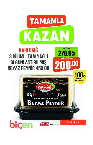 1111_Çalışma Yüzeyi 1 kopya 27 copy 2